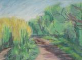 Rapsfeld_Pastell.jpg